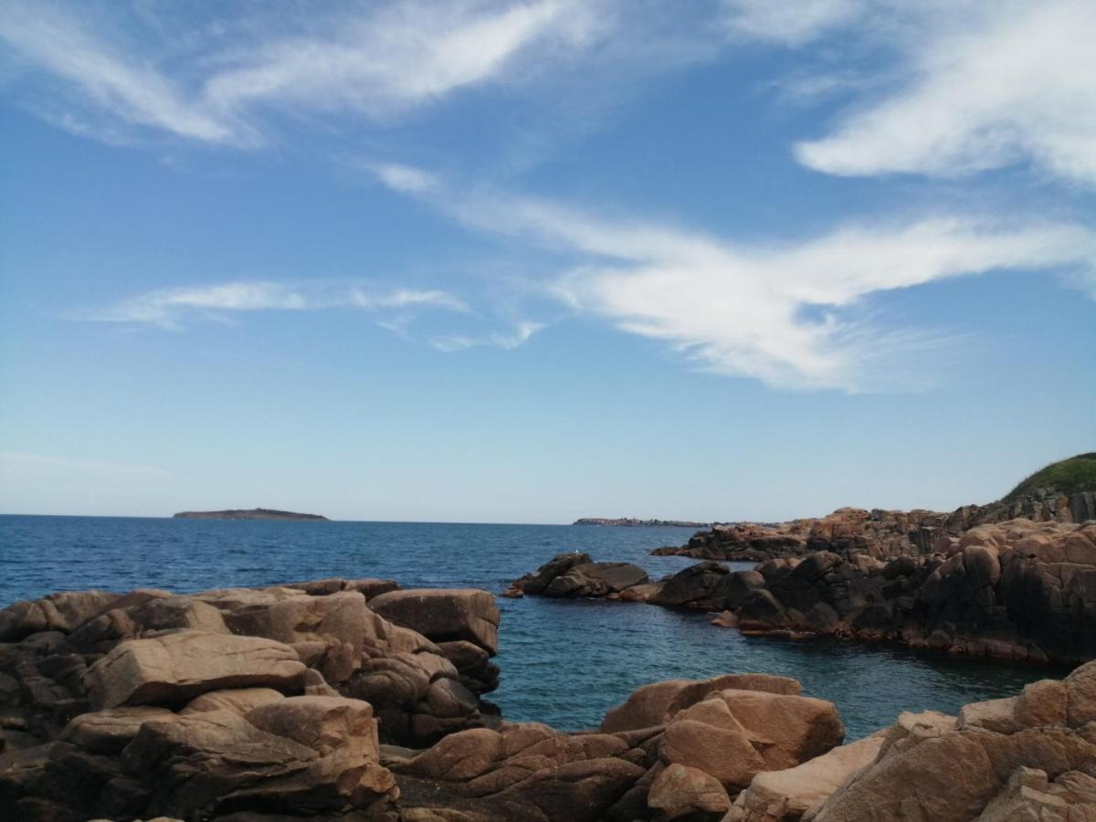Apartments Del Sol - Sunny Island Complex Τσερνομόρετς Εξωτερικό φωτογραφία